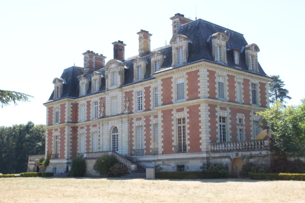Chateau Du Guerinet D'Orchaise 外观 照片